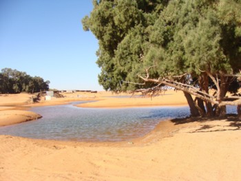 ksar guilane photo