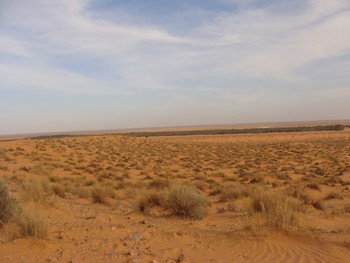 ksar guilane photo