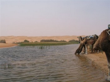 ksar guilane photo