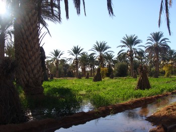 ksar guilane photo