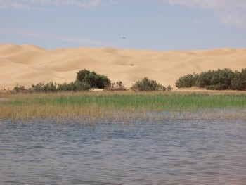 ksar guilane photo