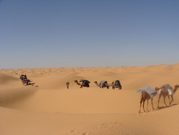 ksar guilane photo