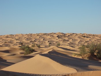 ksar guilane photo