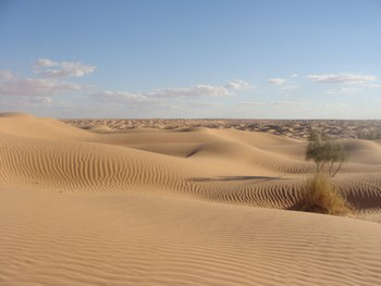 ksar guilane photo