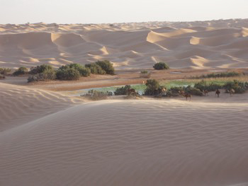 ksar guilane photo
