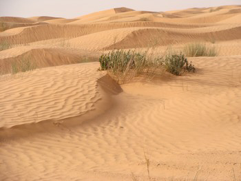 ksar guilane photo