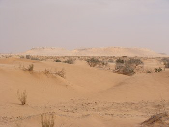 ksar guilane photo