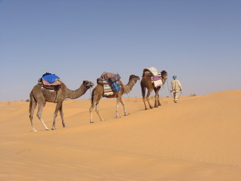 ksar guilane photo
