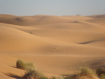 ksar guilane photo