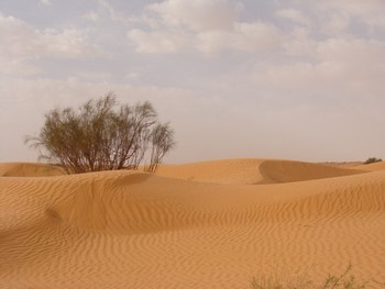 ksar guilane photo