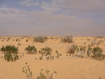 ksar guilane photo