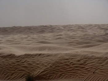 ksar guilane photo